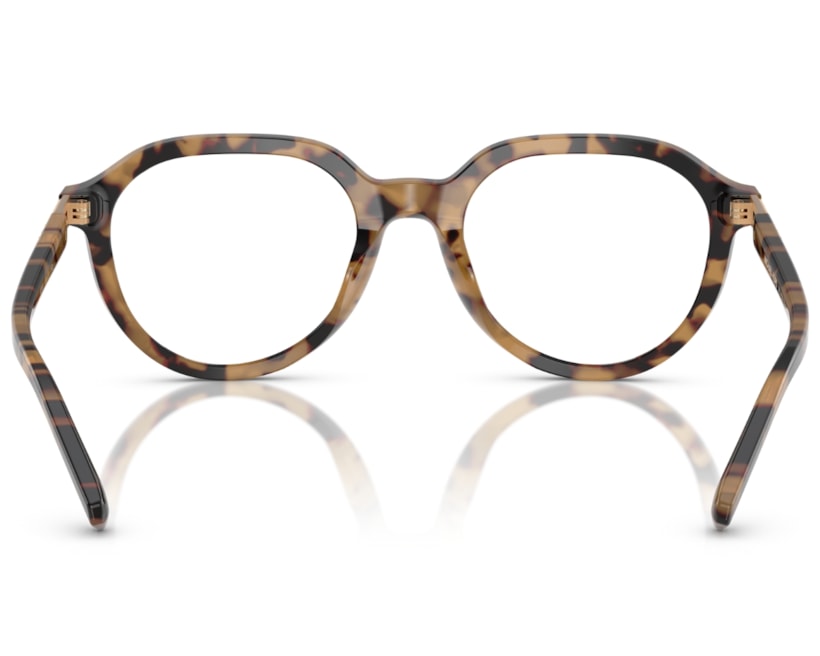 image_c2b7be5c-5ac5-412e-a607-273ab7324376