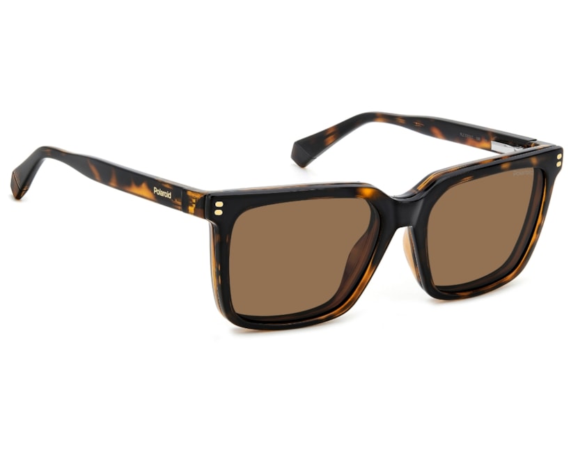 image_e6fac659-b2f6-4825-9f3b-90c02c47b29f