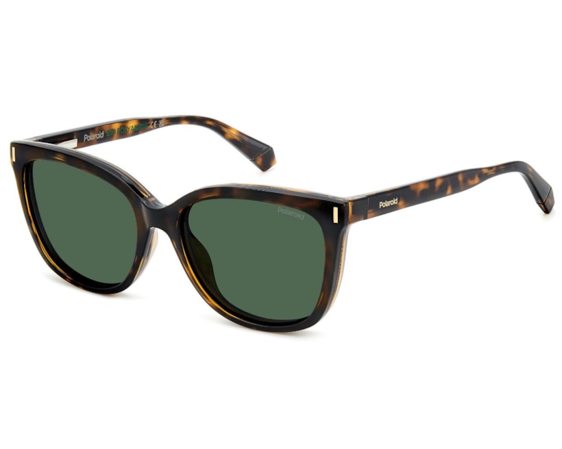 image_a3264a7a-ebe3-47ed-912d-c60ec4cba231