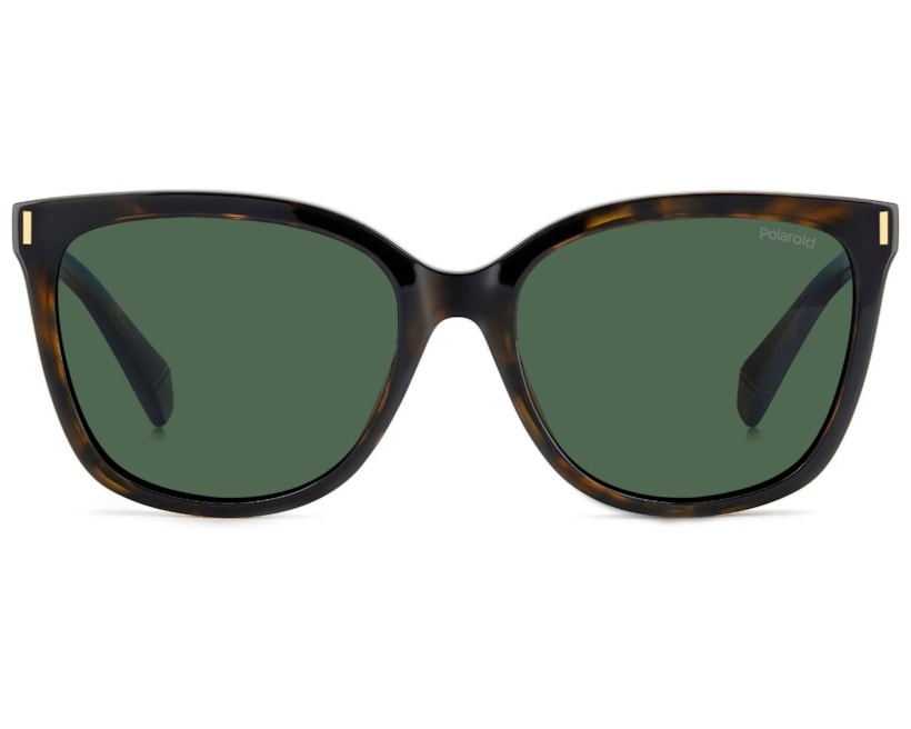 image_7597d226-d13b-4752-b598-b84d25ecdea0