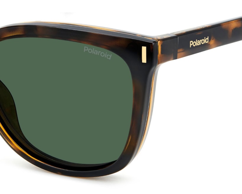 image_79924b42-106c-4874-aec7-97da0edfe2ba