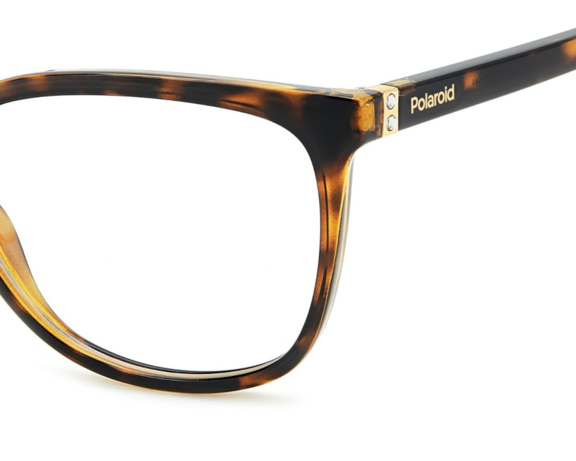 image_a5e044da-bdaf-4e57-bd69-cd23817d213e