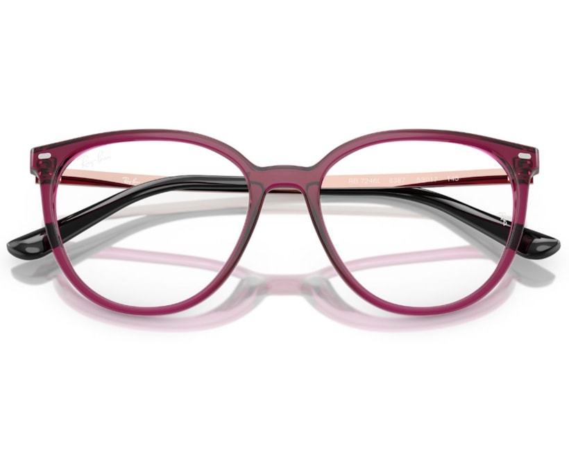 image_48f42451-6879-4f21-a030-42be2b54267f