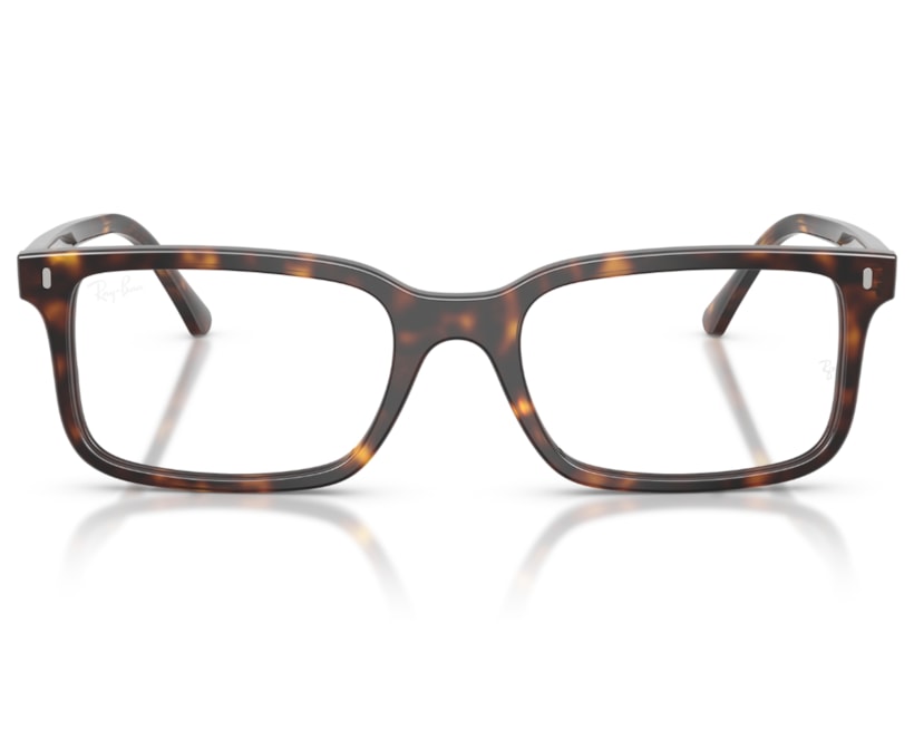 image_10d23fae-4b27-4704-b998-5e53da53fdb8