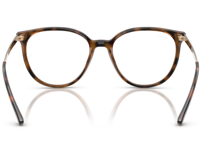 image_58978808-b0c9-4468-8d64-1c91fb71a32c