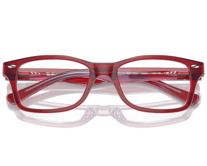 image_e931bcab-8ed8-414a-89e2-529d7d8fe2d3