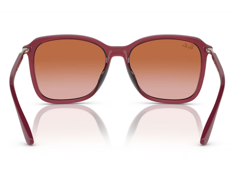 image_254f211a-32e9-46d3-830e-91a488788dd1