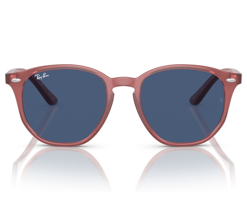 image_473083c4-6ae8-4ece-b5d3-46b8673ea4f4