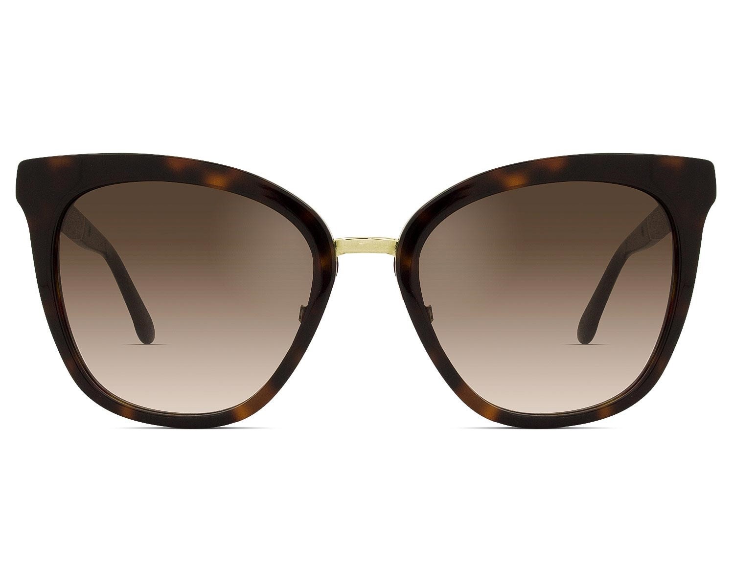 Jimmy choo hot sale fabry sunglasses