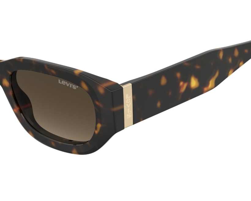 image_05098712-451d-4c79-ba30-566eceffe827