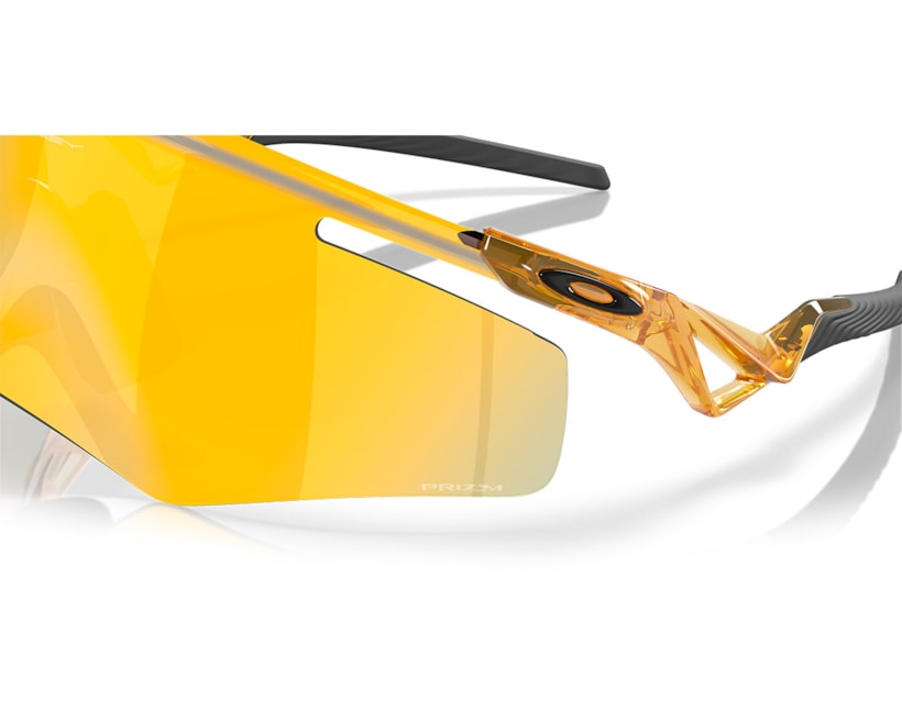 image_6cc54f3c-c2aa-4b31-acf0-20992460e586