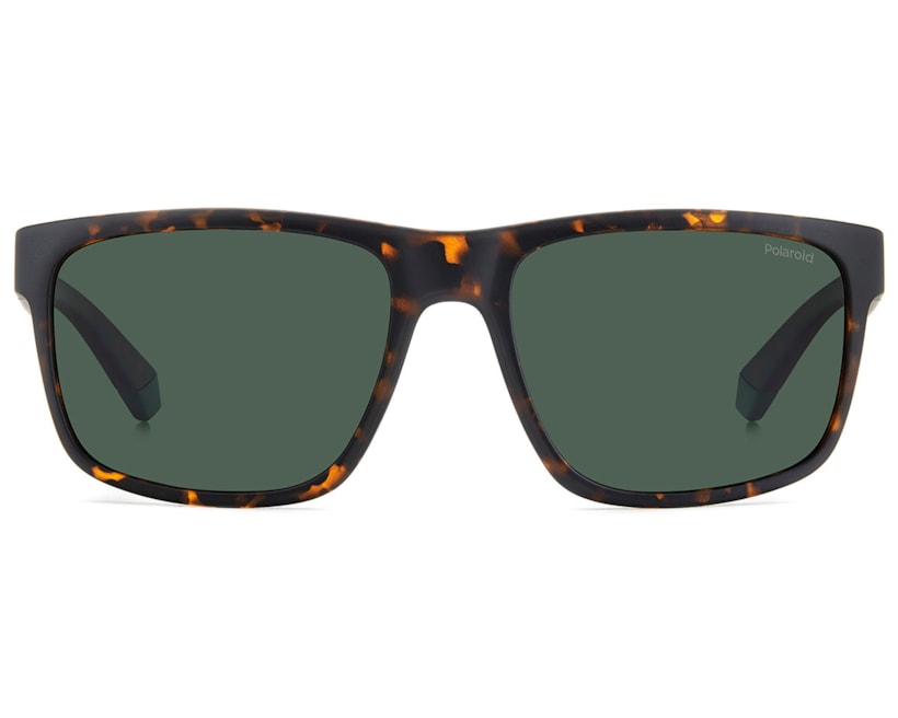 image_fc72c349-144d-46c6-943f-74df996e93d1