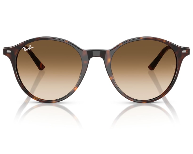 image_fbc6de79-595f-41cd-a08b-06386d3e160c