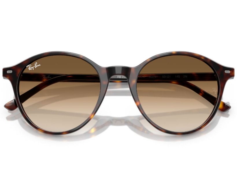 image_edbc7b9c-f4b9-44fc-890e-79f1b3a62d37