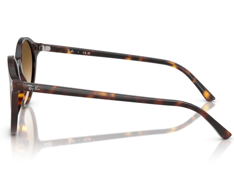 image_136d4066-b9cc-4493-8d48-3da0746e6ad6