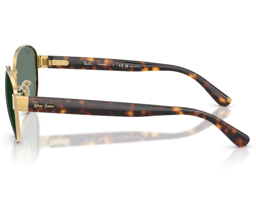 image_fc9db6c7-661c-406f-8c59-a2b86281c491