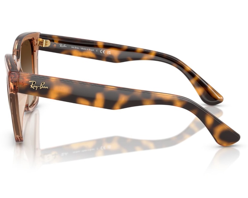 image_0368cfce-9199-47ce-beb0-99cdd6869d8b