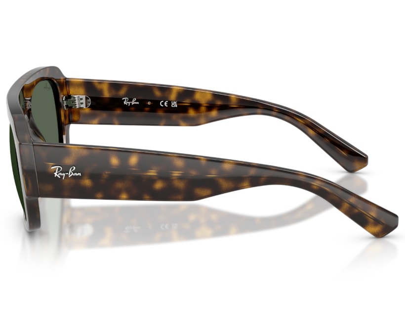 image_8145ac6e-db86-41f8-a822-b7c5c4a5194b