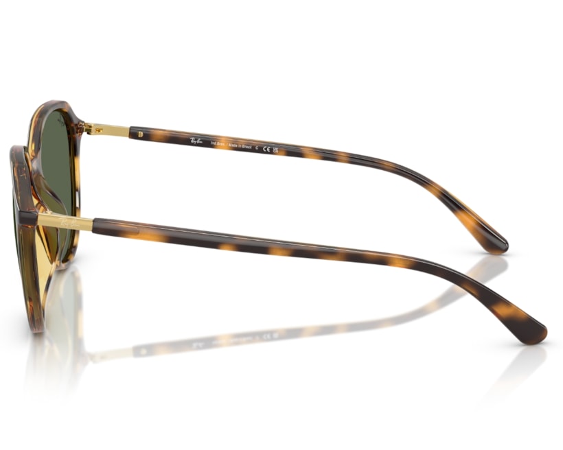 image_d0f5feba-51bb-4099-ab74-e396044cb089