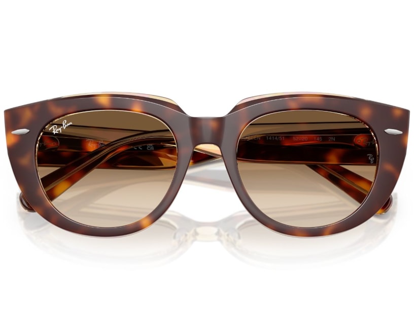 image_cc254cbf-16e4-4bad-bdde-b19f41ae34ab