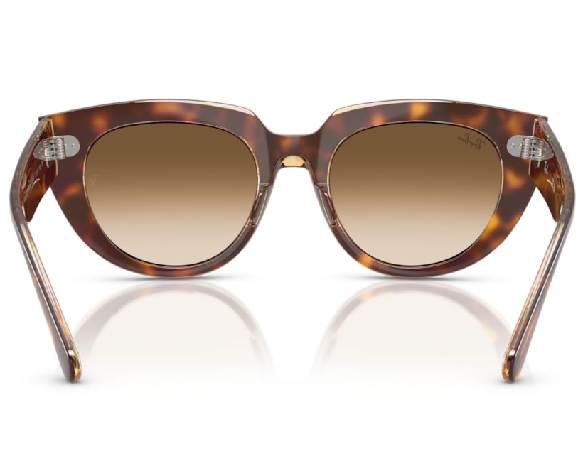 image_ce245829-39cb-4cb7-96cb-79df4549d8a9