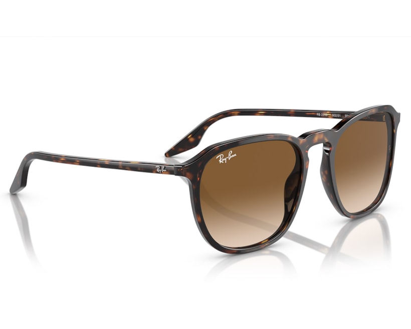 image_c5008b0f-0004-4d3d-9f0a-9221cde11319