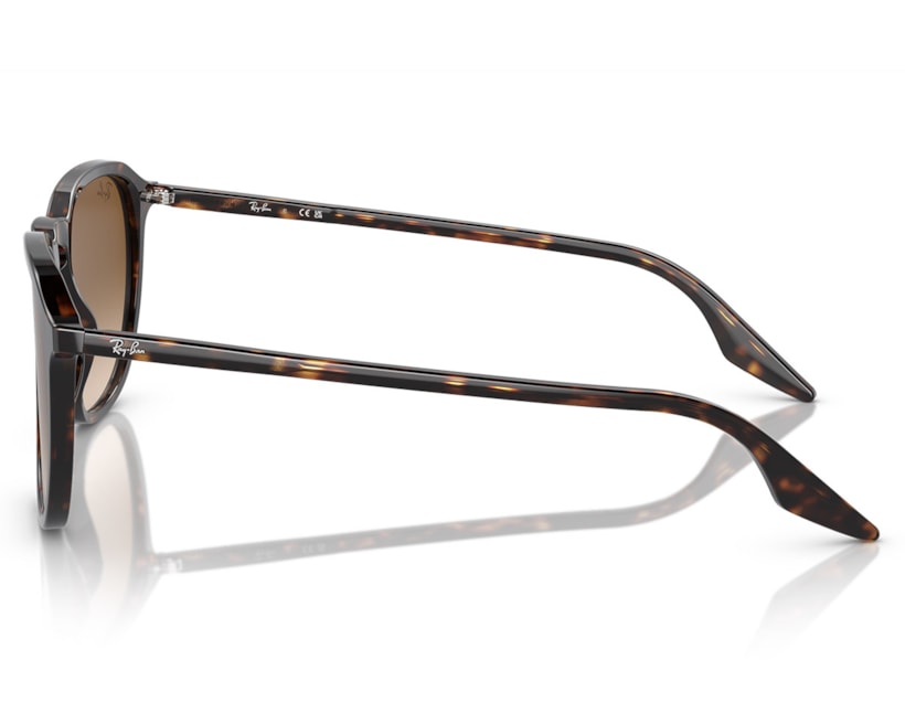 image_c52003ce-d7f5-4ef7-98ad-d6c674cf568e