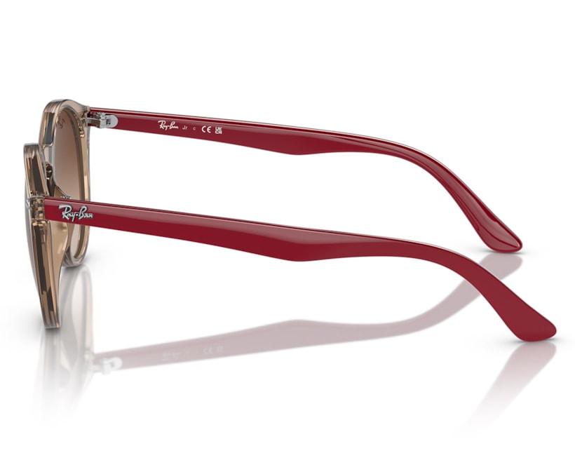 image_c321cd54-f04c-4c8a-9319-3199fccdee9c