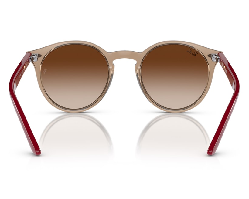 image_15476d98-5778-440d-a225-c350de3fa46e