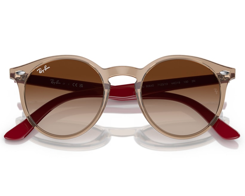 image_5536aed6-f24f-4bc8-a49d-bd541b4a8f78