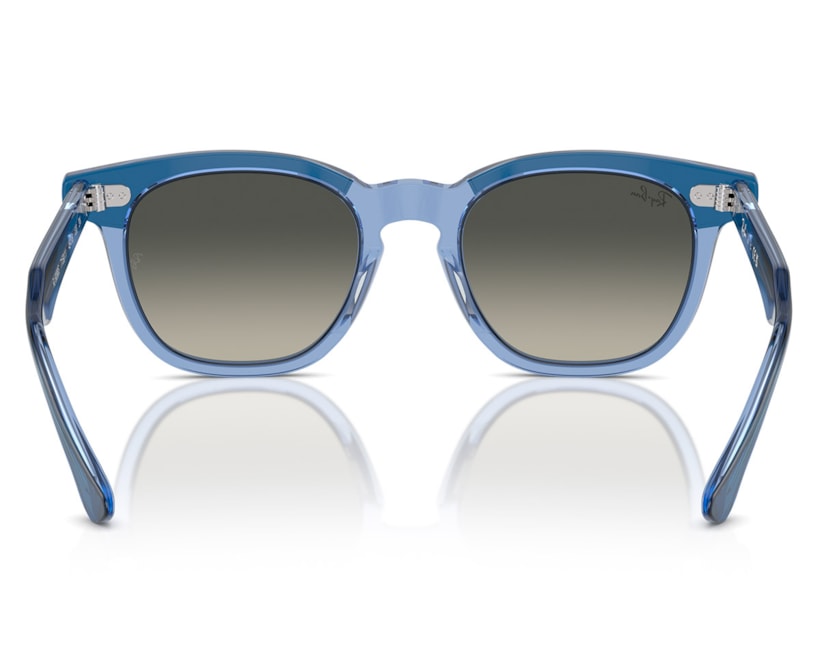 image_b95c683f-b233-43f4-b2fa-6744025509ed