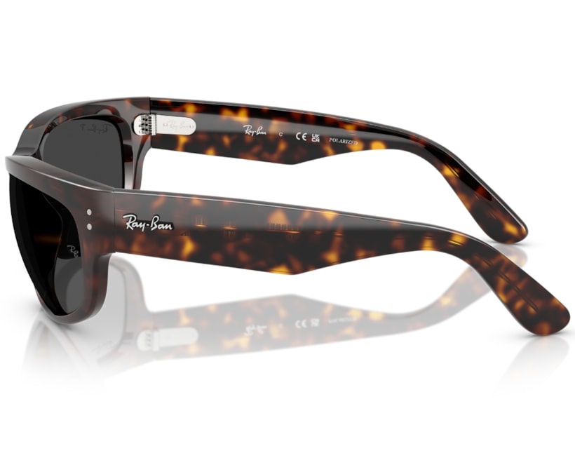 image_6f5ba070-4ea0-42e0-a529-1f0e4c324057