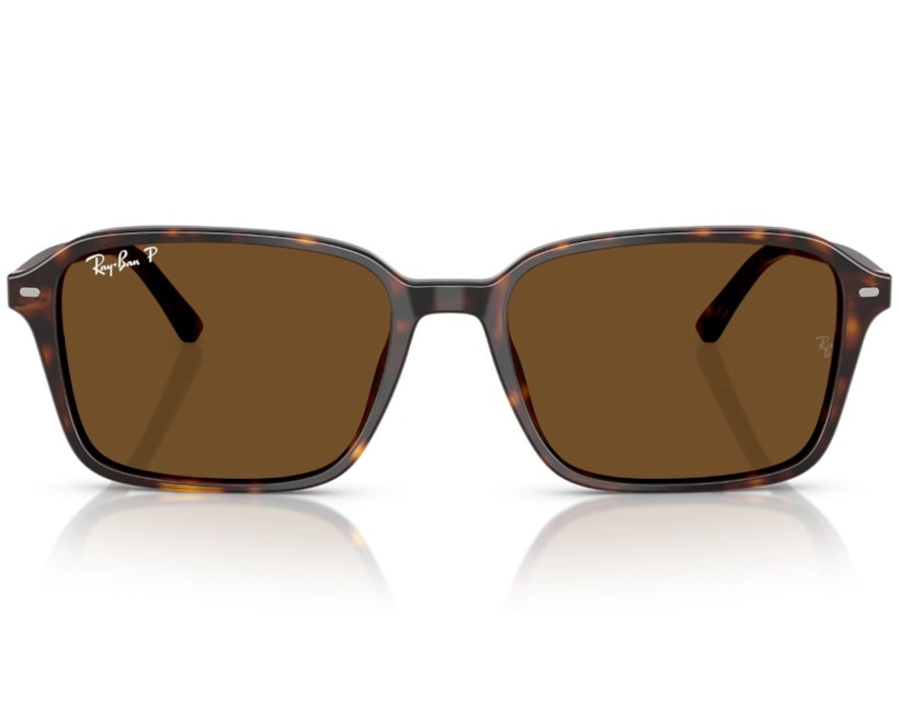 image_e2e56964-4185-4c06-8b34-3b4c2ac56b4d