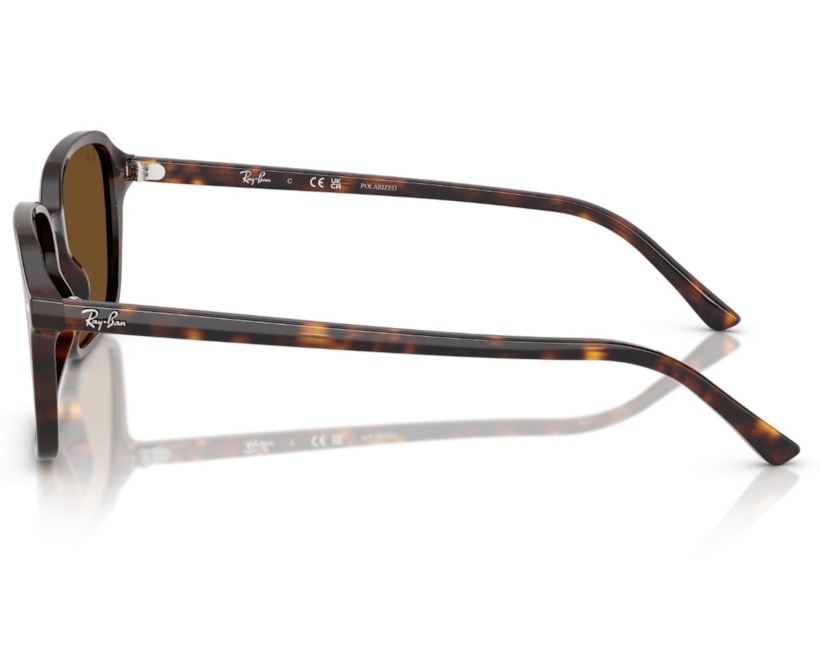 image_be3b5b39-5c6e-4997-b98c-5735f2d5b851