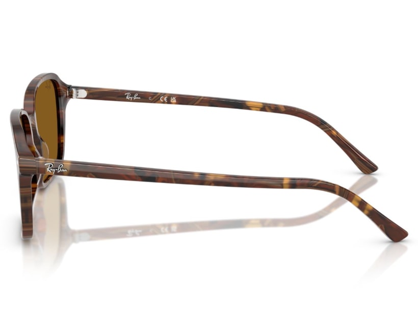 image_3ea296bc-b805-4eef-ad33-a7af9d6f56c2