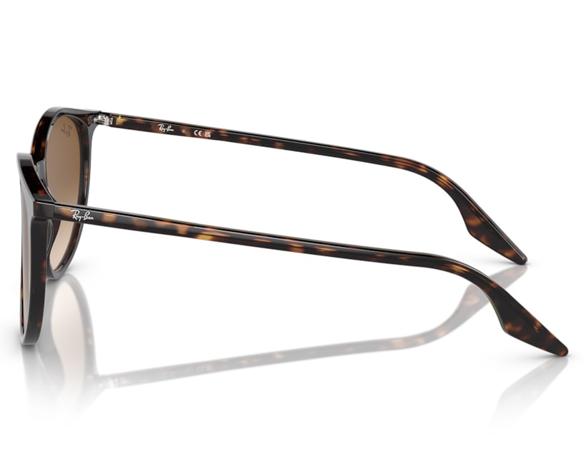 image_d90693af-b51e-4281-acd4-e557c10063b8