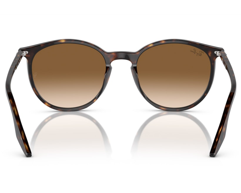 image_88322a4d-4f69-4b7e-bc7a-20ba67314130