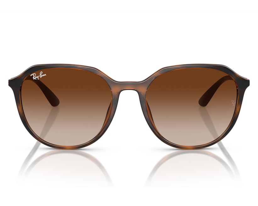 image_bf60902c-9554-4674-a4cf-44085484491b