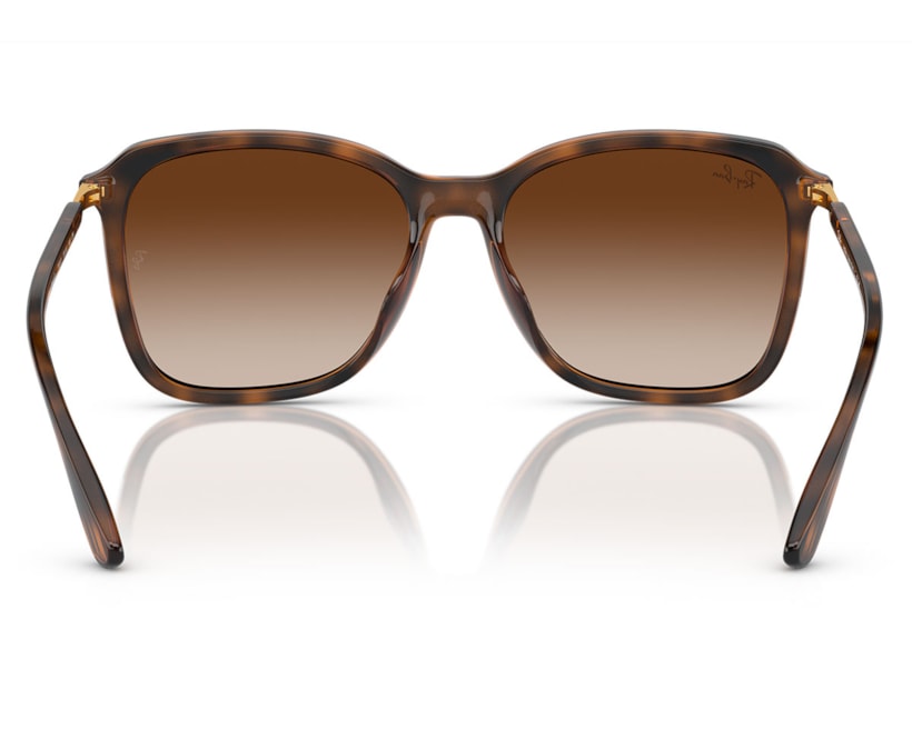 image_58248ddb-5aa6-4350-8d88-68acd3842400