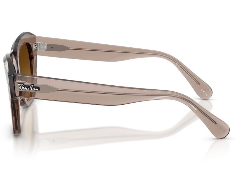 image_88c553ec-1591-4685-9a88-e66f54b337a7