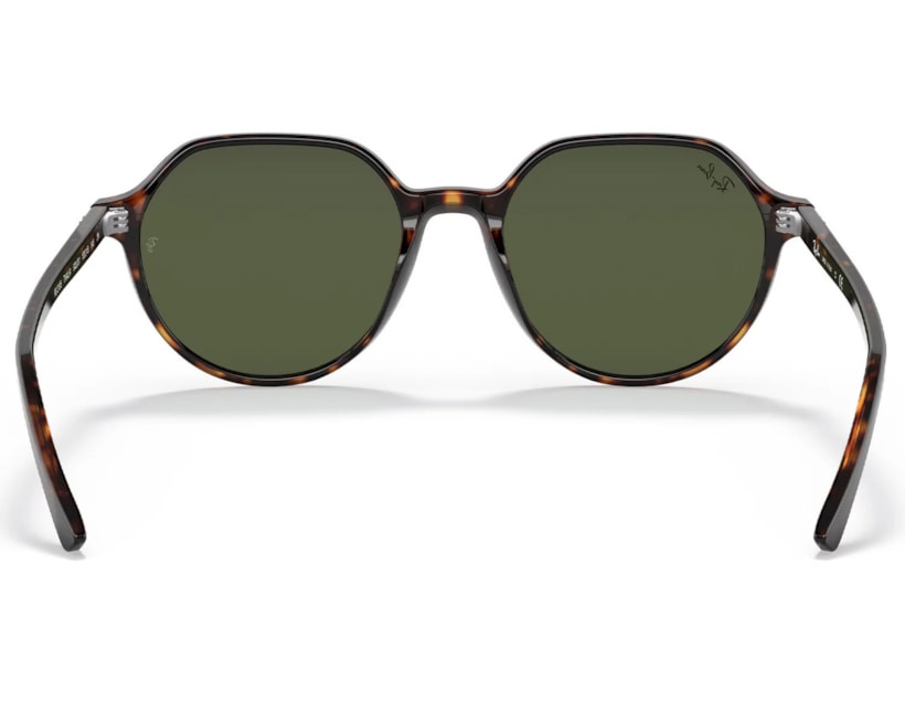 image_c368a6dc-2941-4282-aa75-21336db7e36a