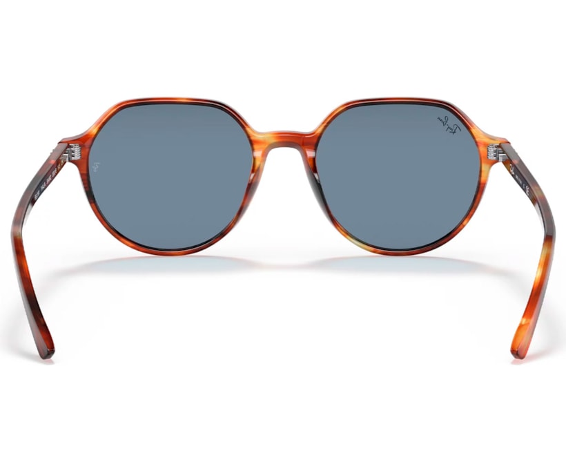 image_13585e1b-4032-478c-8d90-a7390541790f