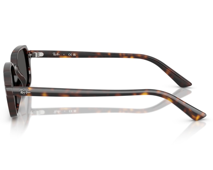 image_09af5d2c-d536-4736-afb1-3549904f5607