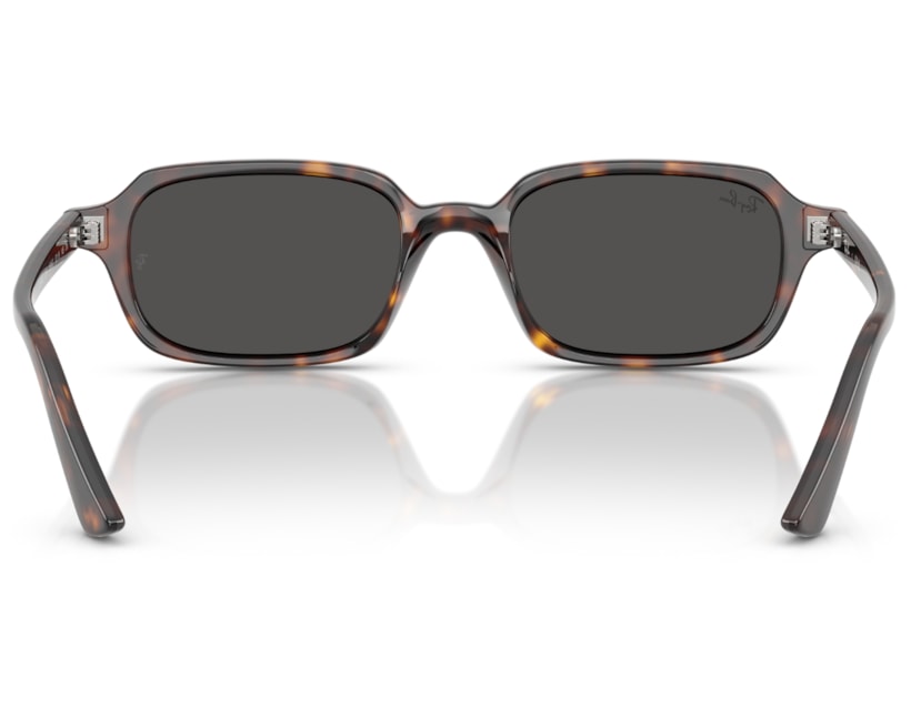 image_54050ee9-4eef-420b-9675-1b7b4562ab52